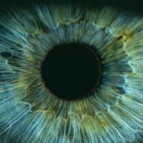 emdr tony calçada psychologue tours